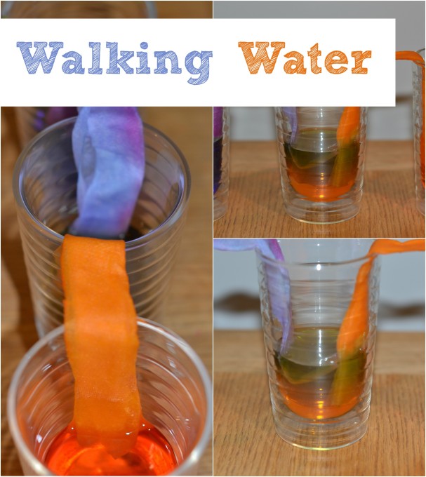 Walking Water Experiment