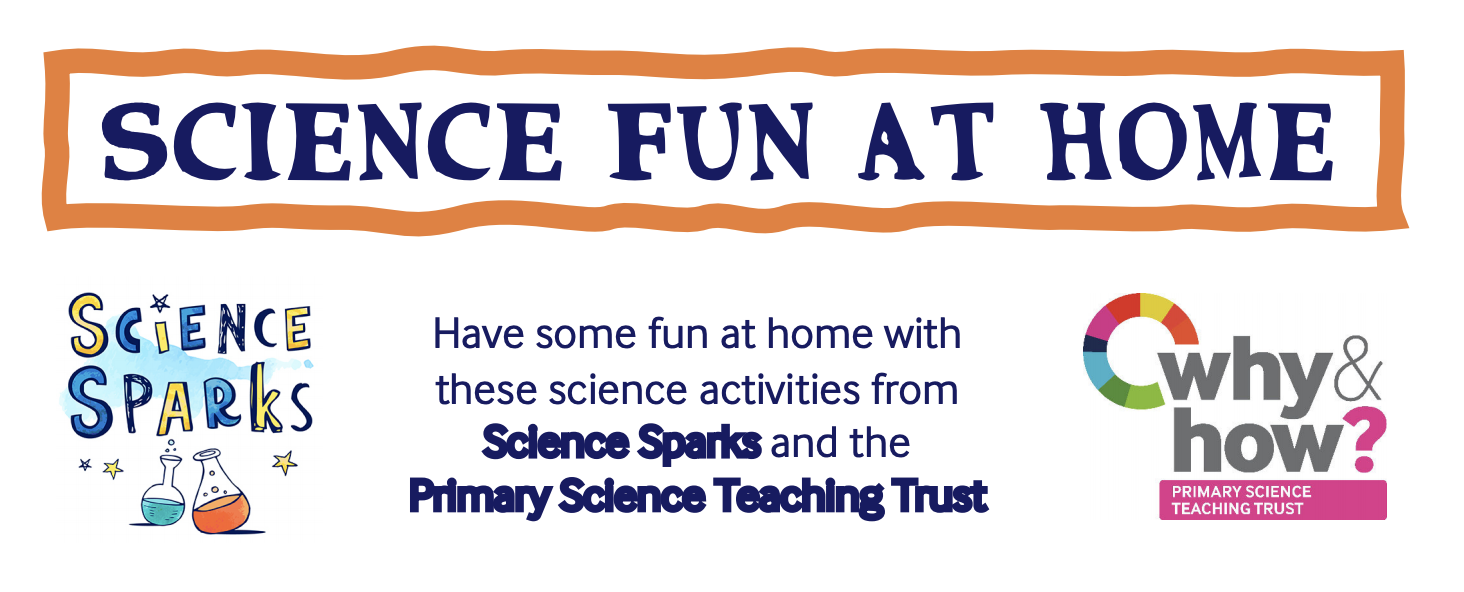 Easy Science for Kids at Home - Science Sparks