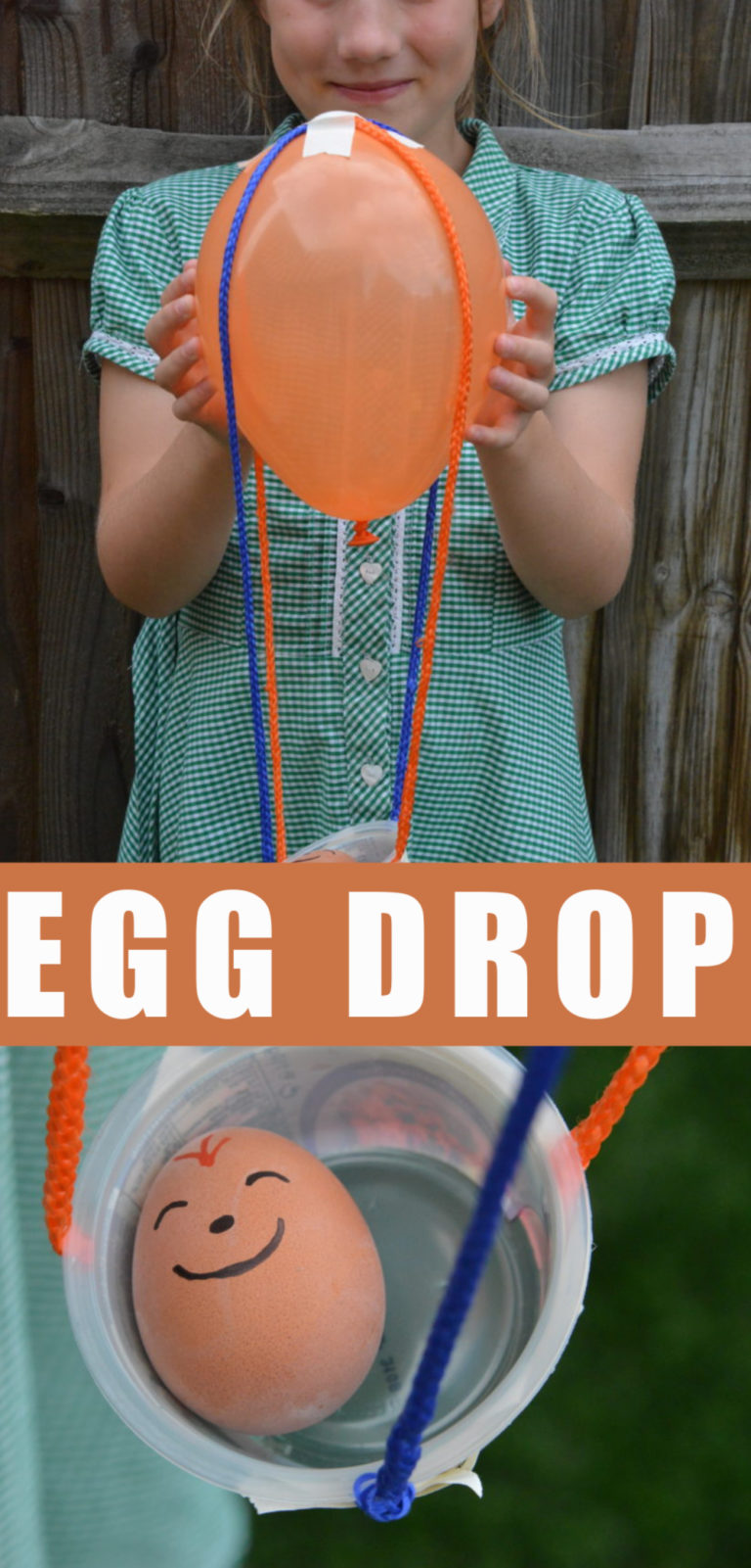 10-perfect-easy-egg-drop-project-ideas-2024