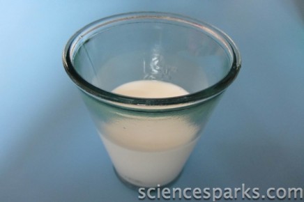 milk curdling science experiment