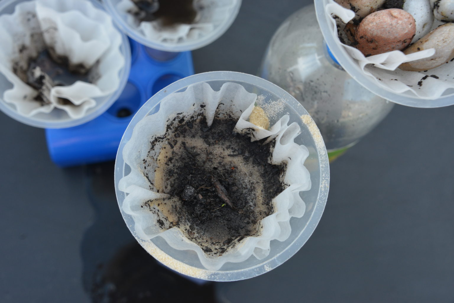 Homemade Water Filter Science Project