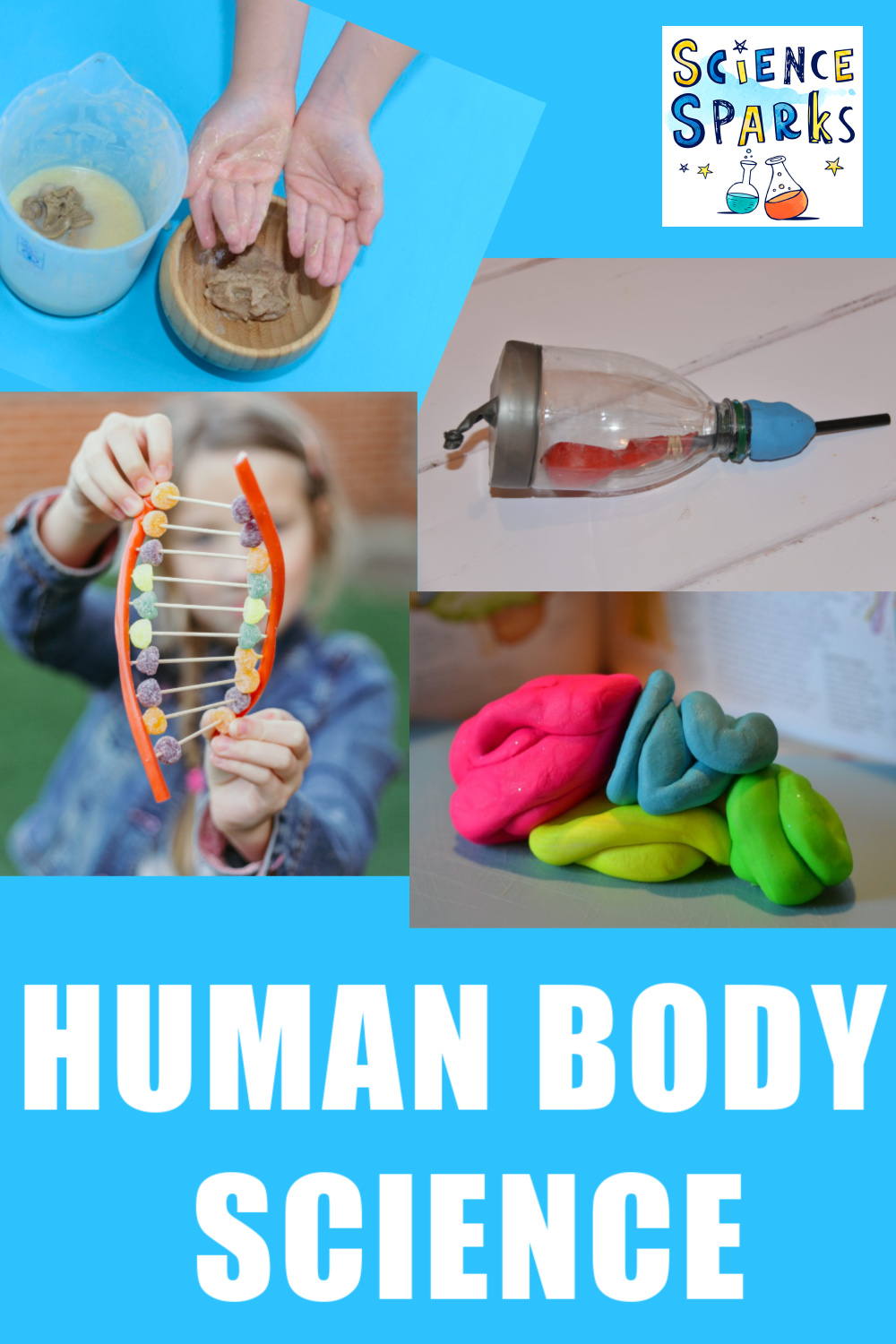 Human Body Science Experiments