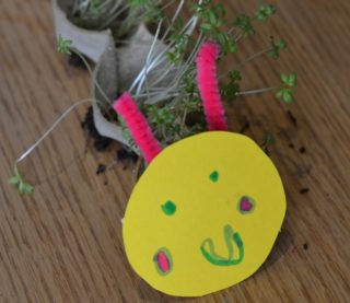 Spring Science - How To Grow A Cress Caterpillar