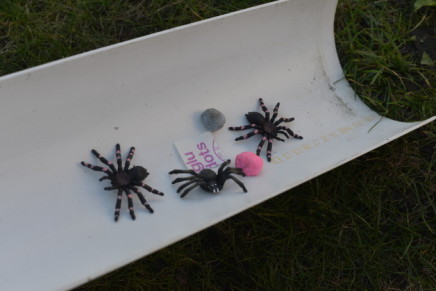 Incy Wincy Spider Science Experiments - Nursery Rhyme Science