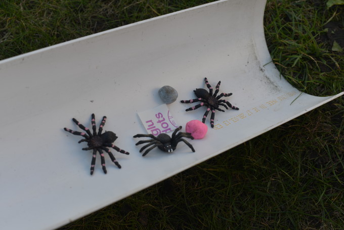 Incy Wincy Itsy Bitsy Spider Activities and Resources - The