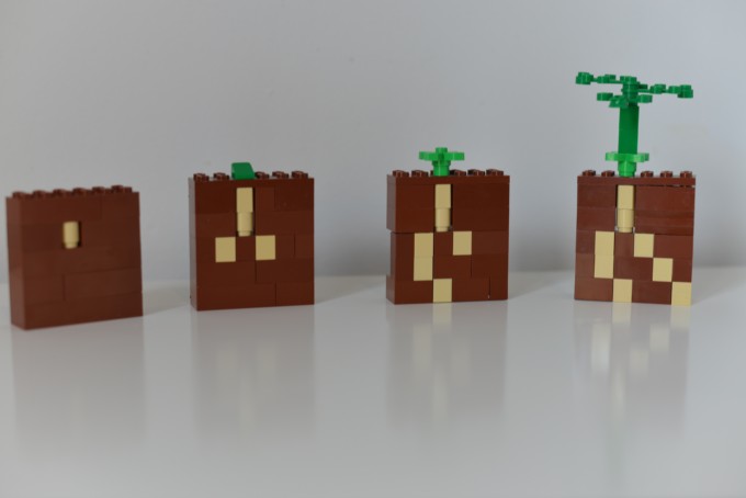 LEGO plant growth model