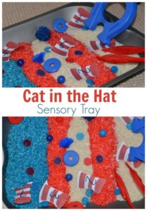 Cat in the Hat Sensory Tray