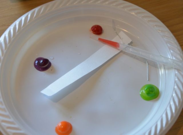 chromatography candy experiment