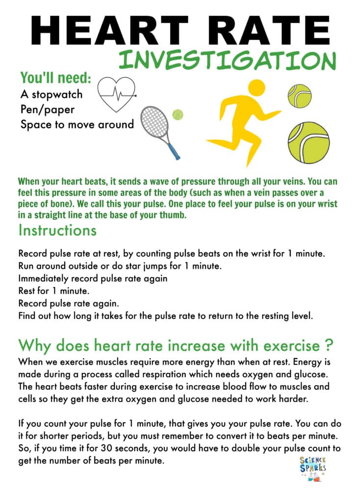 Tennis themed heart rate and exercise science activity