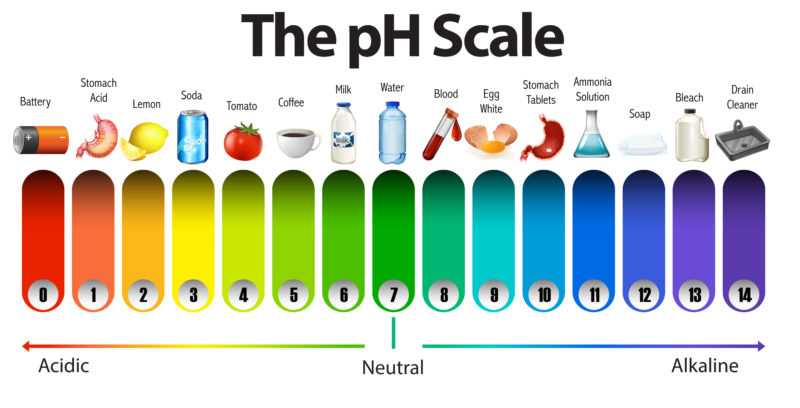 Science for Kids - How to make pH indicator test strips