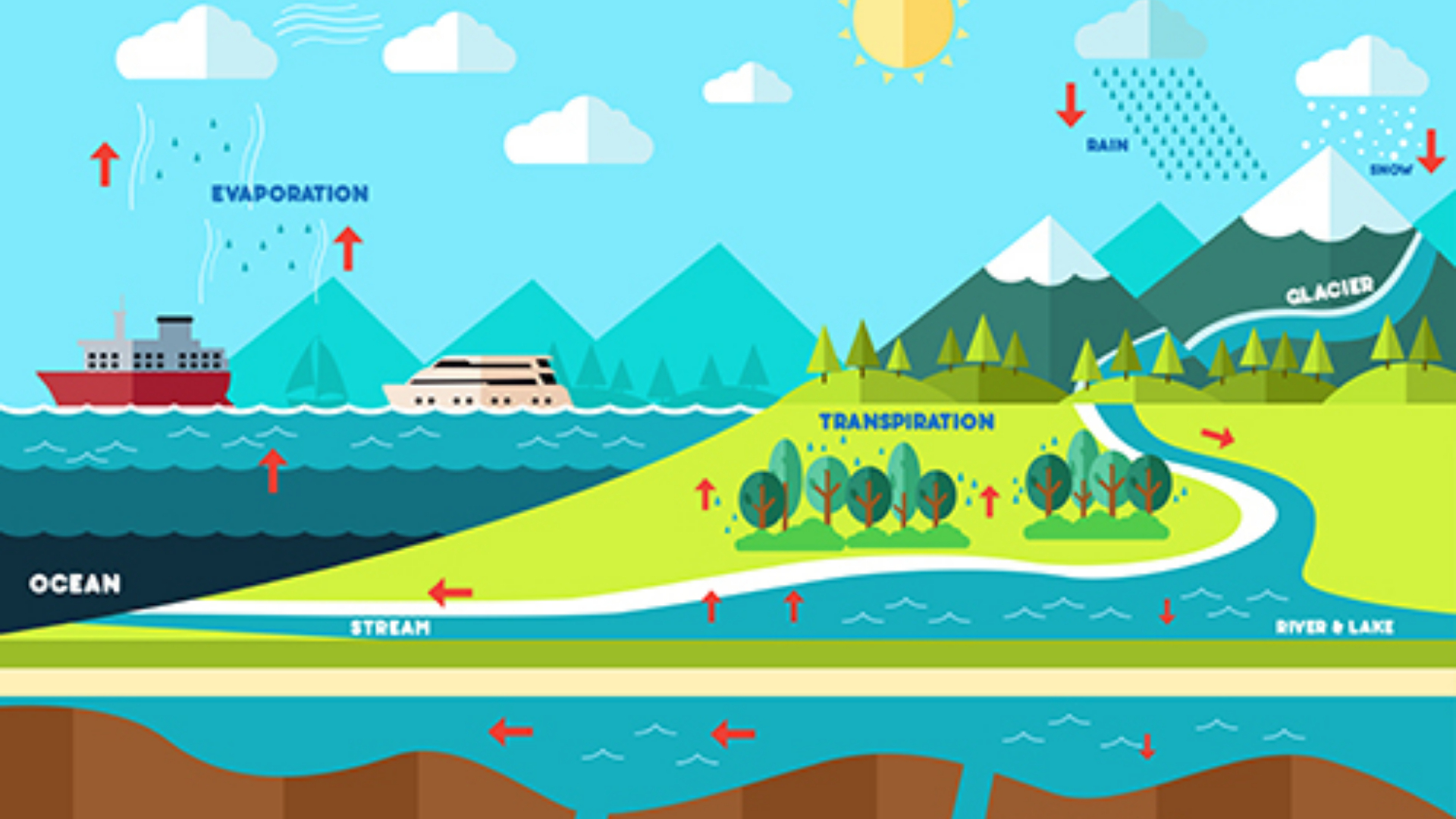 Premium Vector | Trendy flat style vector diagram of water cycle  environment and ecosystem concept