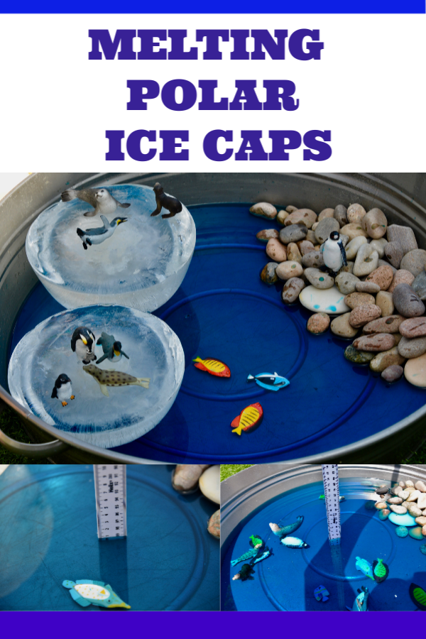 melting ice caps experiment