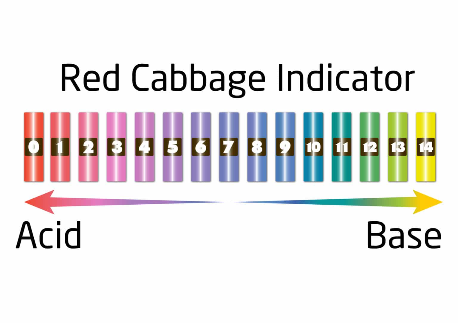 Red Cabbage Ph Indicator Chart