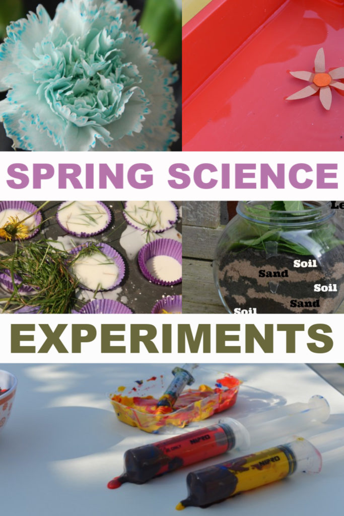 spring science experiment preschool