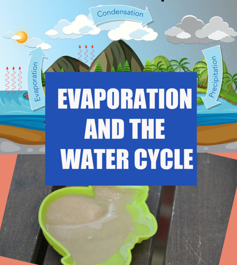 Evaporation and The Water Cycle