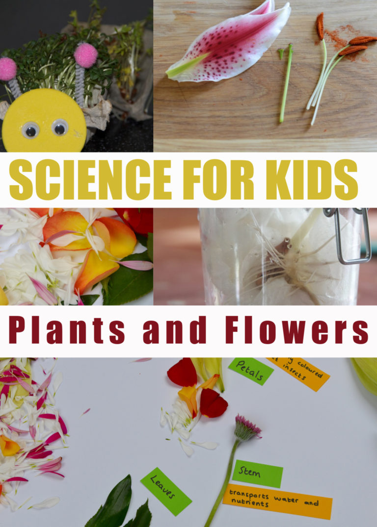 Science Experiments for Key Stage 1