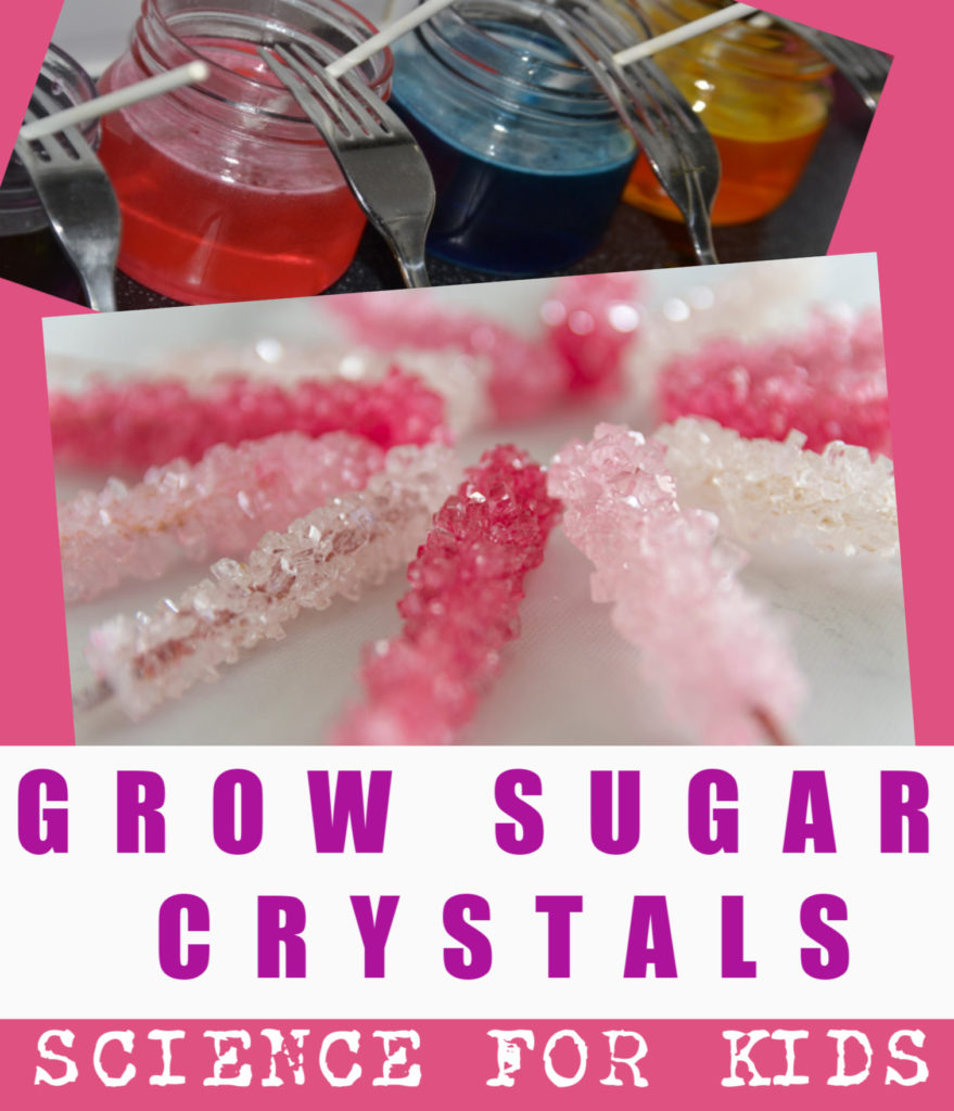 sugar crystal science project