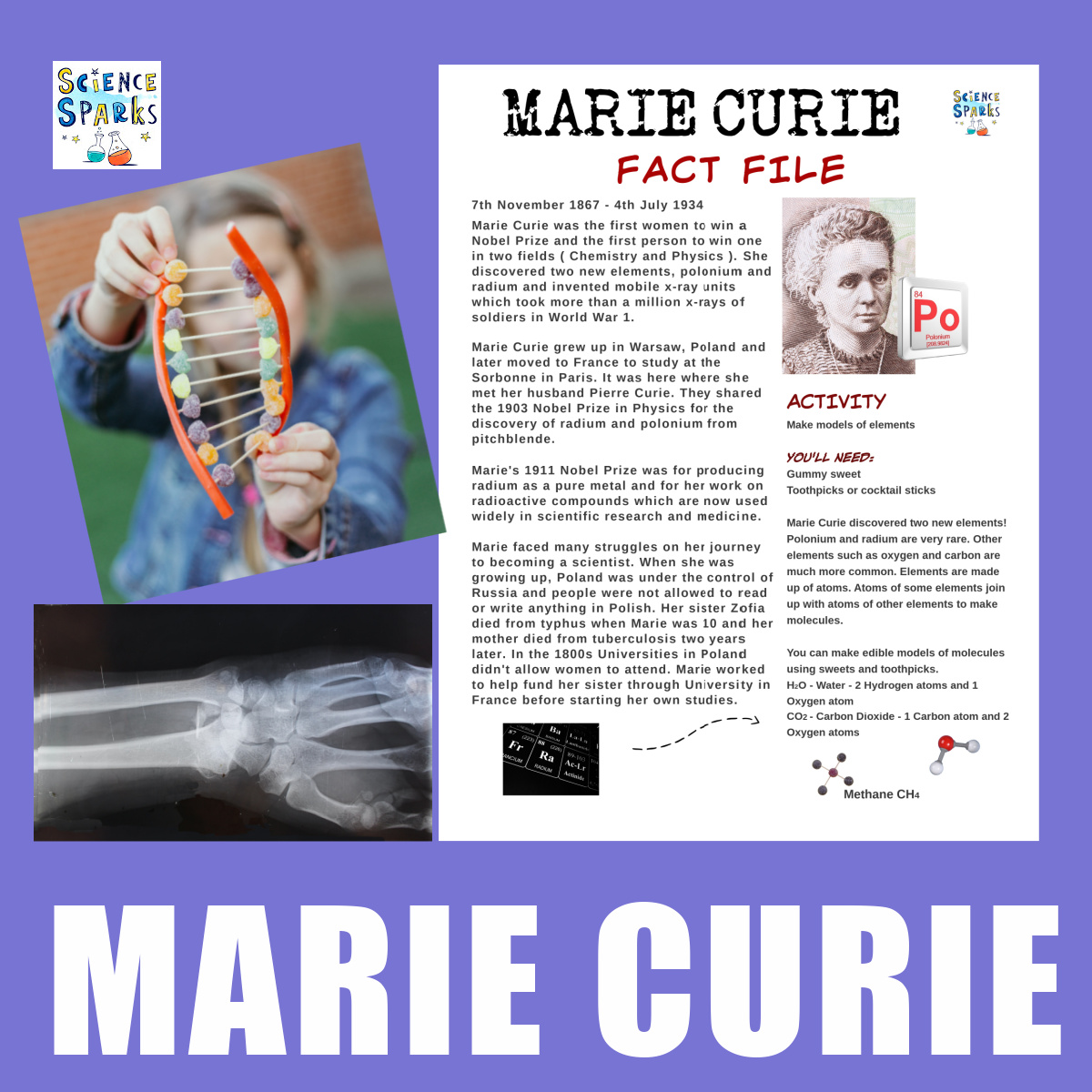 marie curie timeline