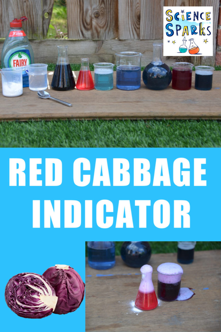 red cabbage indicator experiment conclusion