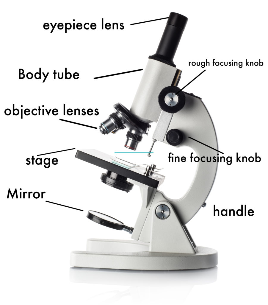 Parts Of A Microscope For Kids