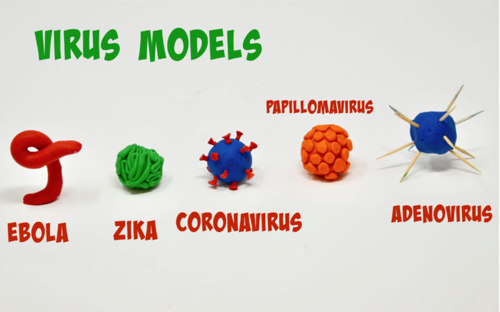 Easy Virus Models - Playdough Models of Ebola, Papillomavirus, ZIKA