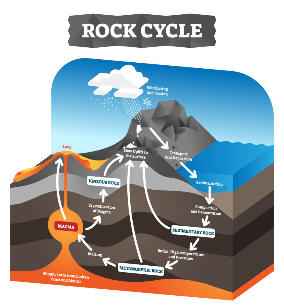 sedimentary rock diagram for kids