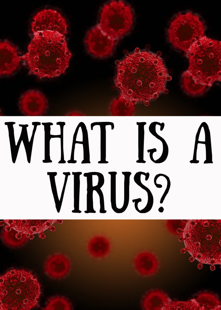 What is a Virus? - Virology for Kids