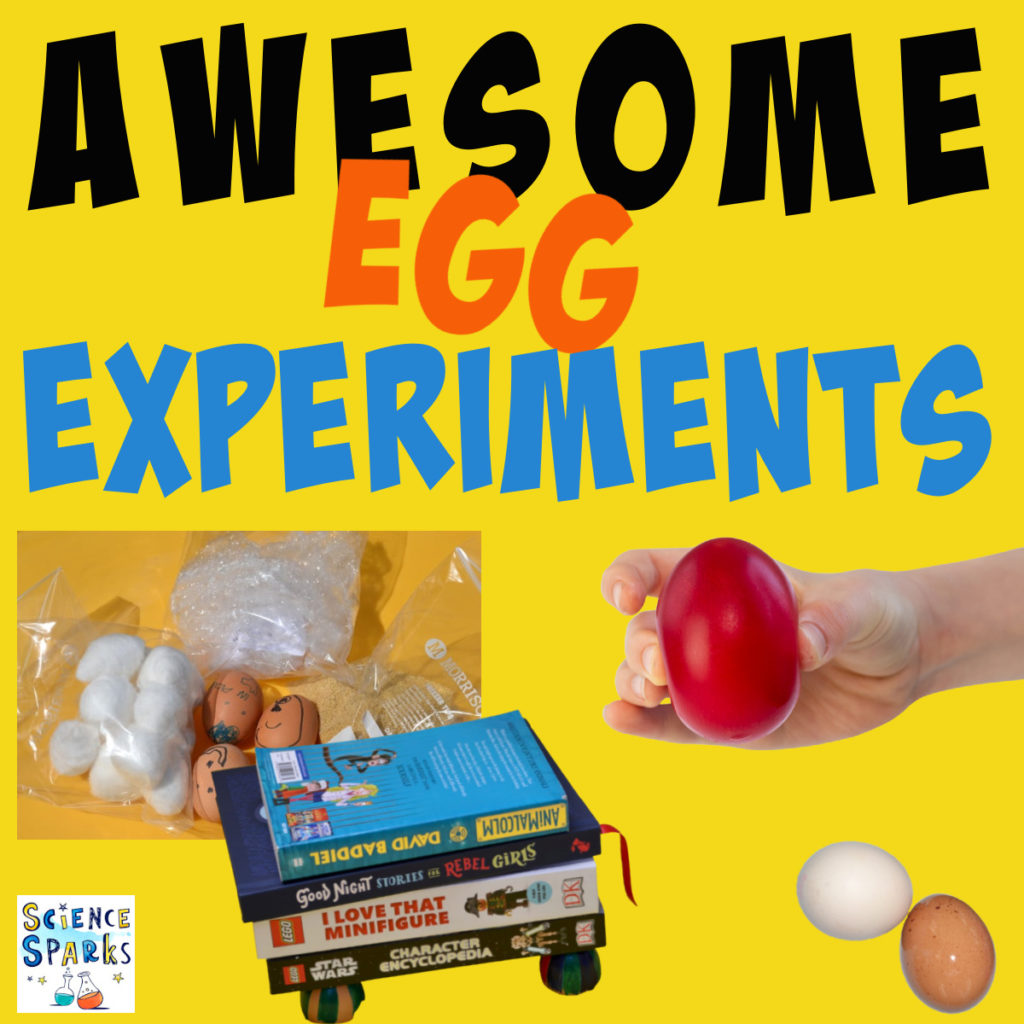 Image of egg experiments, including a bouncy egg, eggshell bridge and egg drop experiment