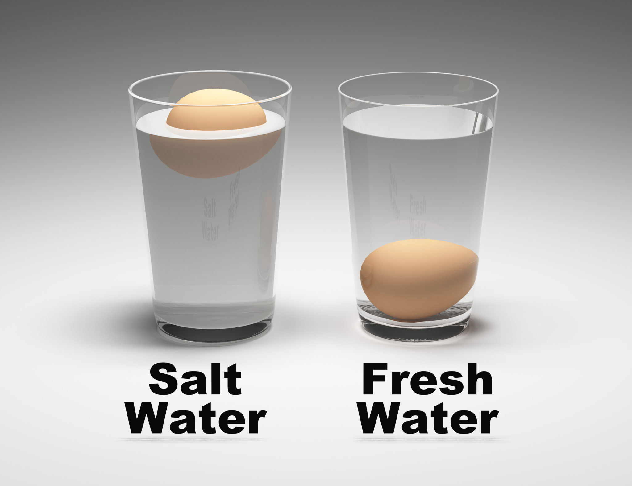 egg in salt water science experiment