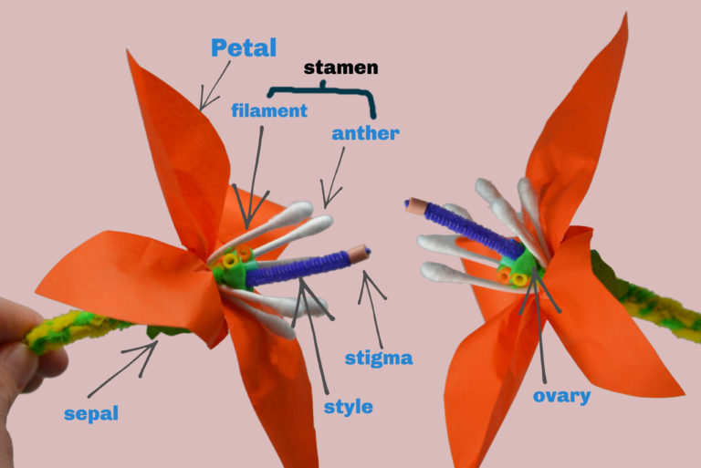 how-to-draw-a-bunch-of-flowers-in-3d-perspective-shoo-rayner-children