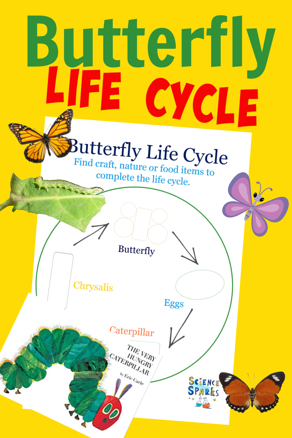 edible life cycle of a butterfly