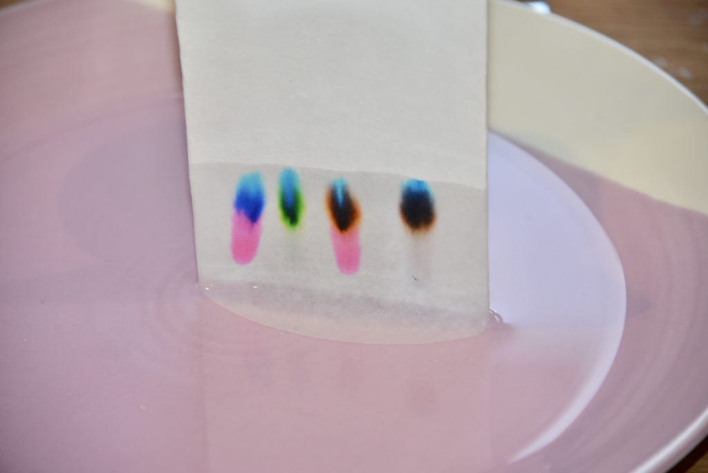 paper chromatography science experiment