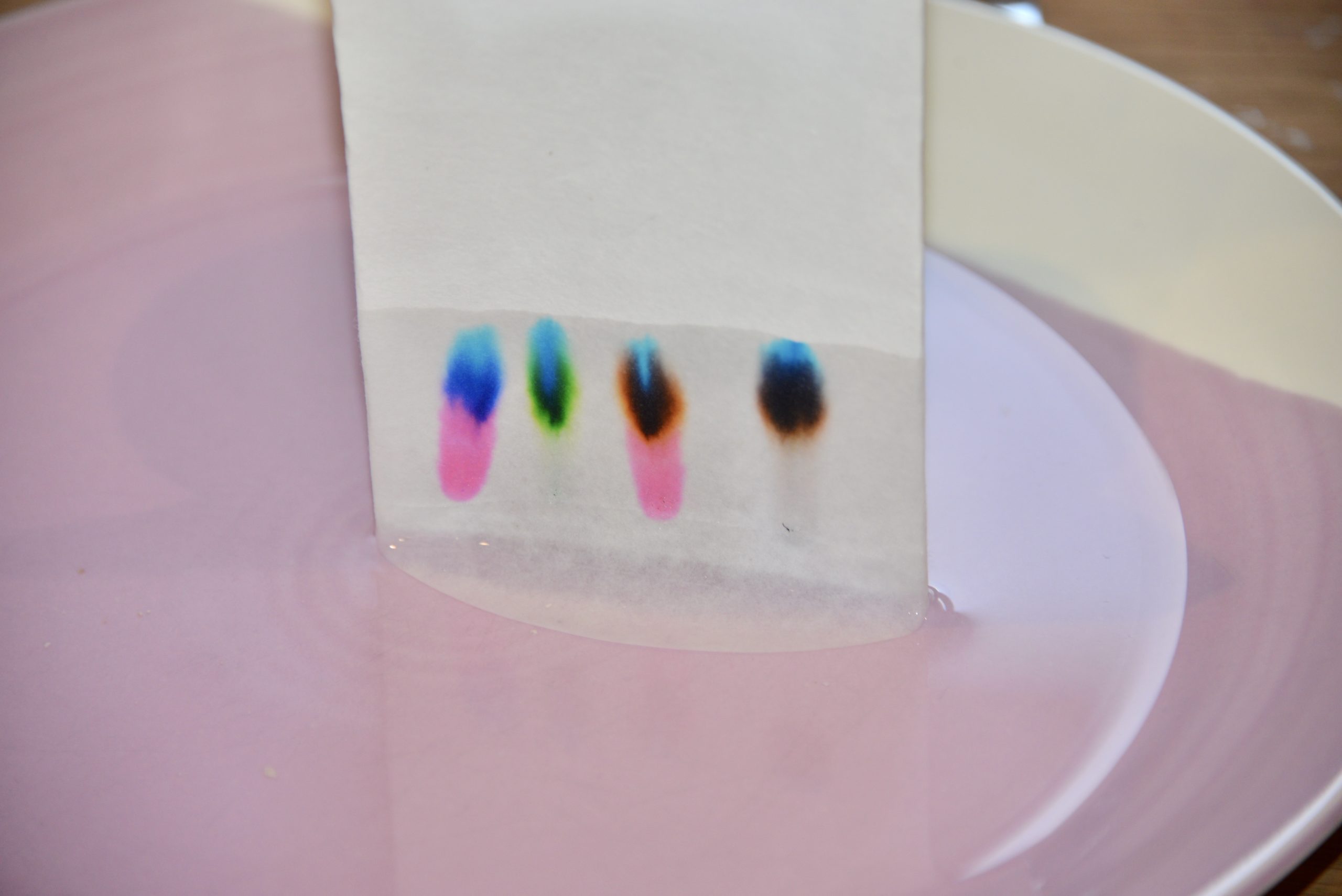 Paper Chromatography Experiment Science Experiments for Kids