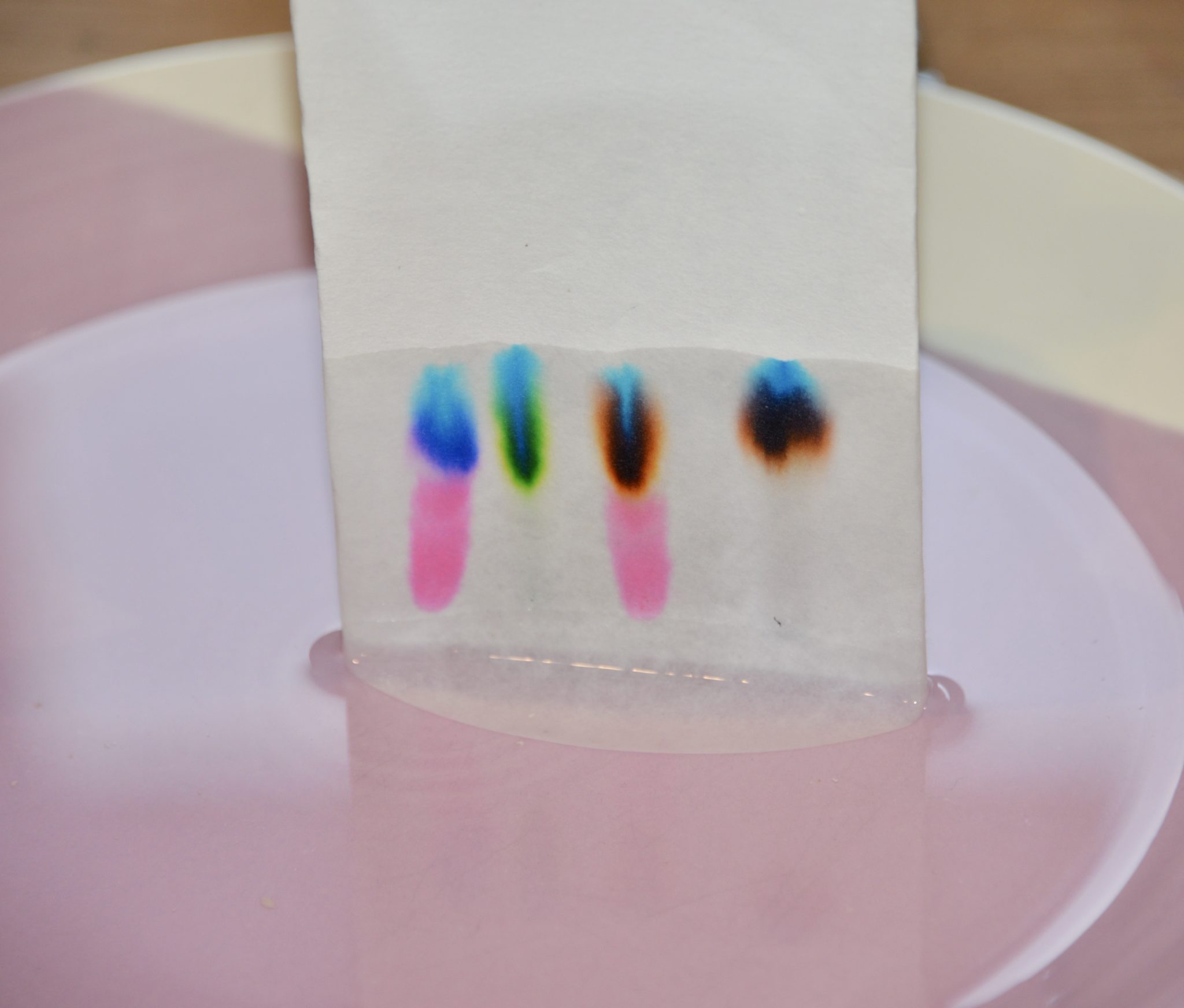 Paper Chromatography Experiment