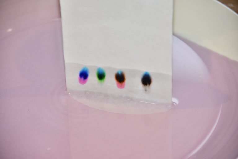 chromatography experiment variables