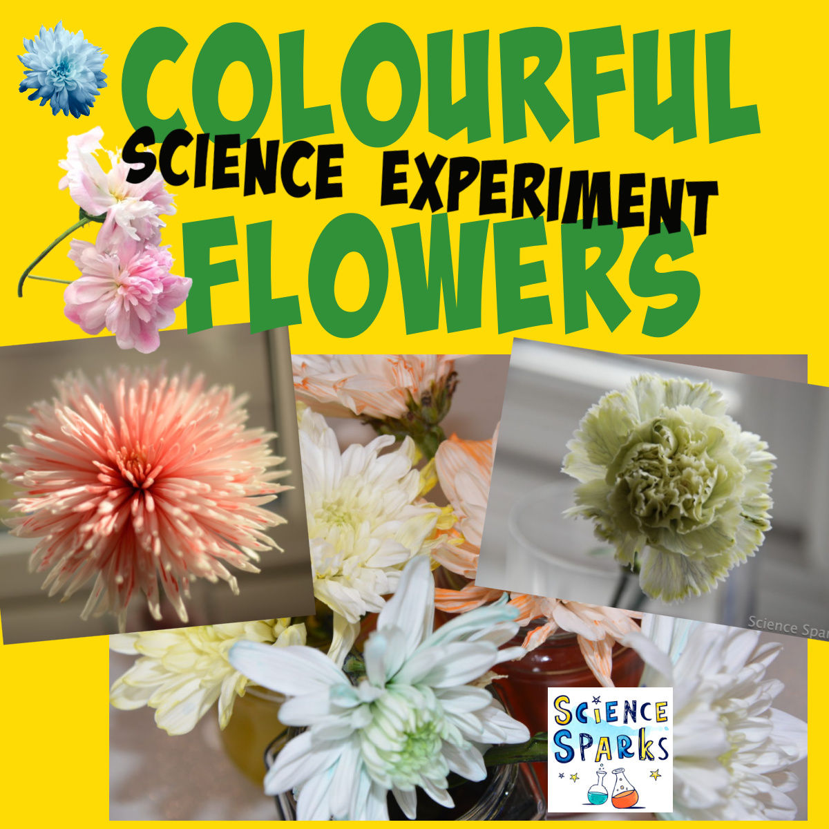 20 Fun Spring Science Experiments for Kids - Science Sparks