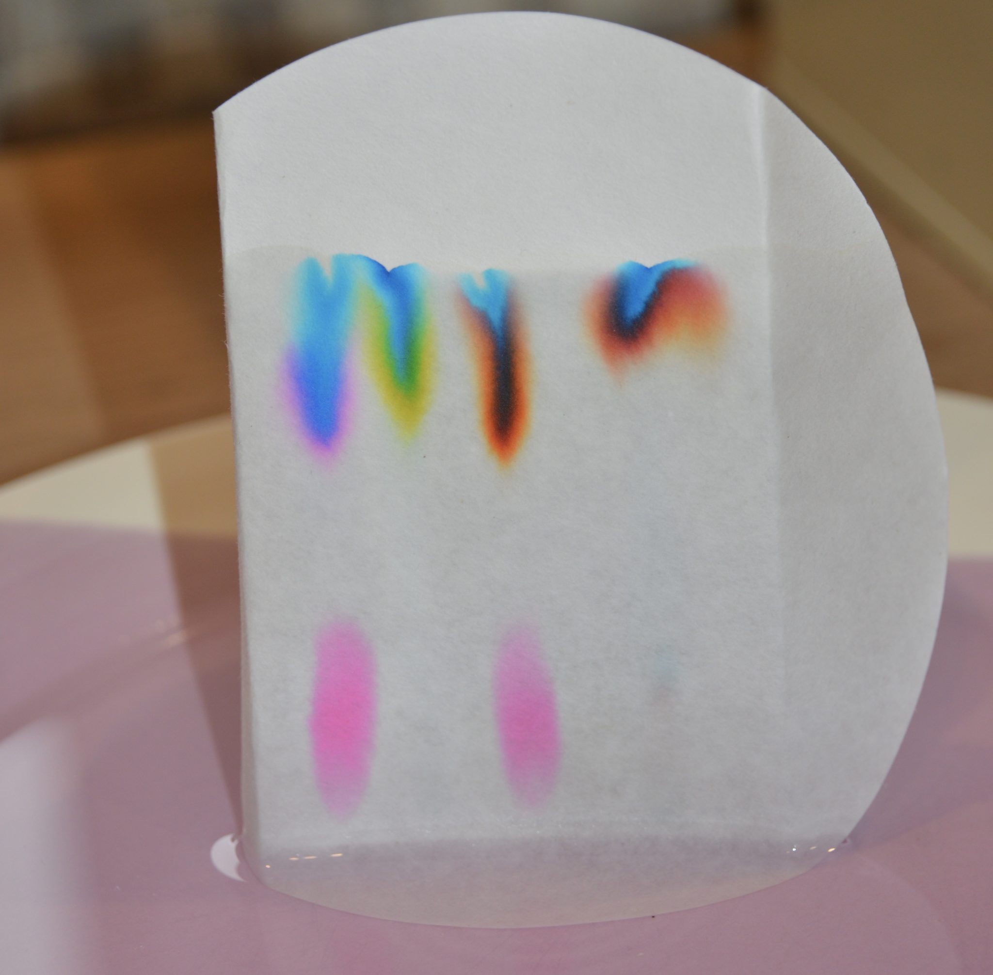 Paper Chromatography Experiment