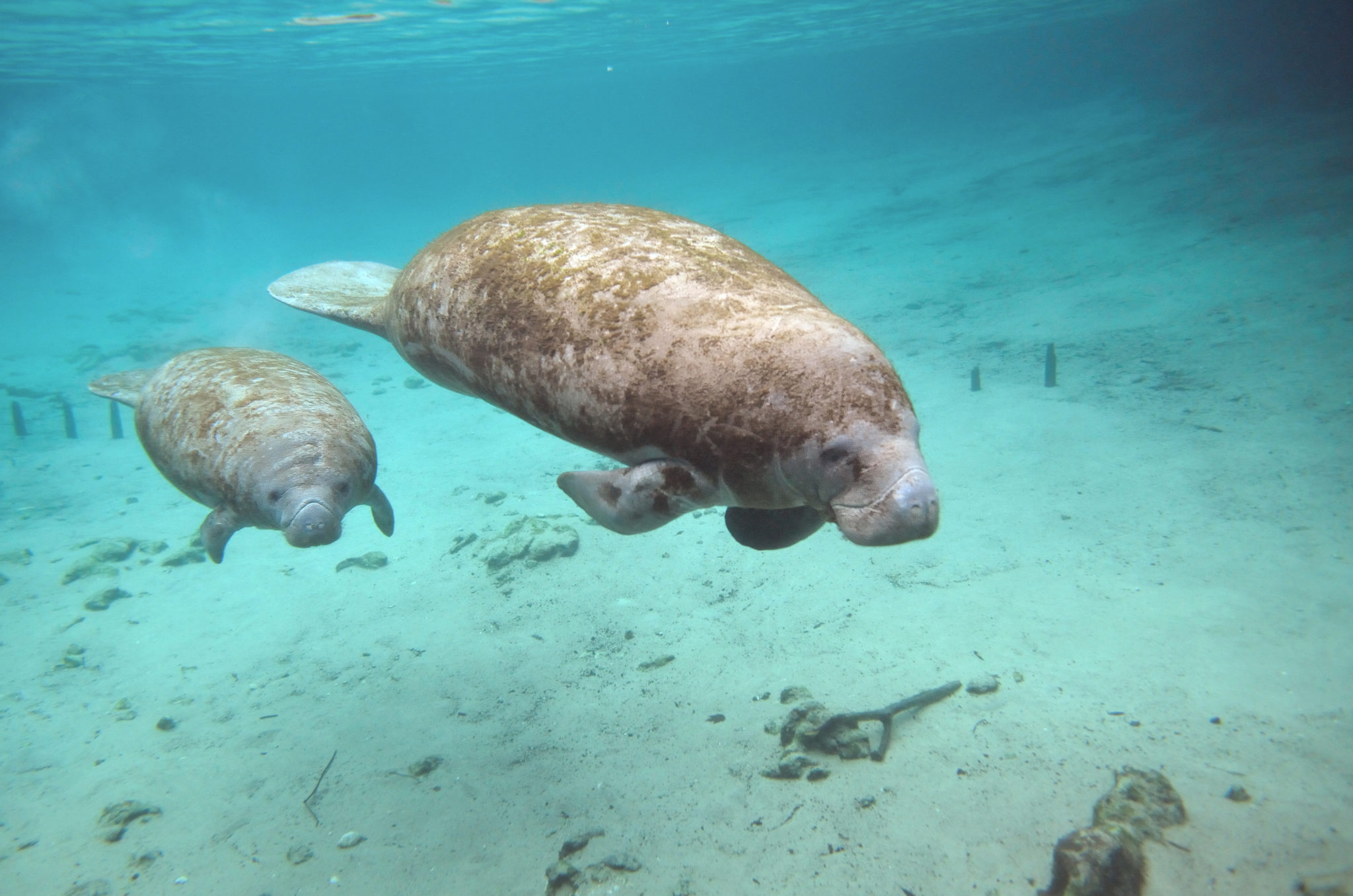 florida-science-experiments