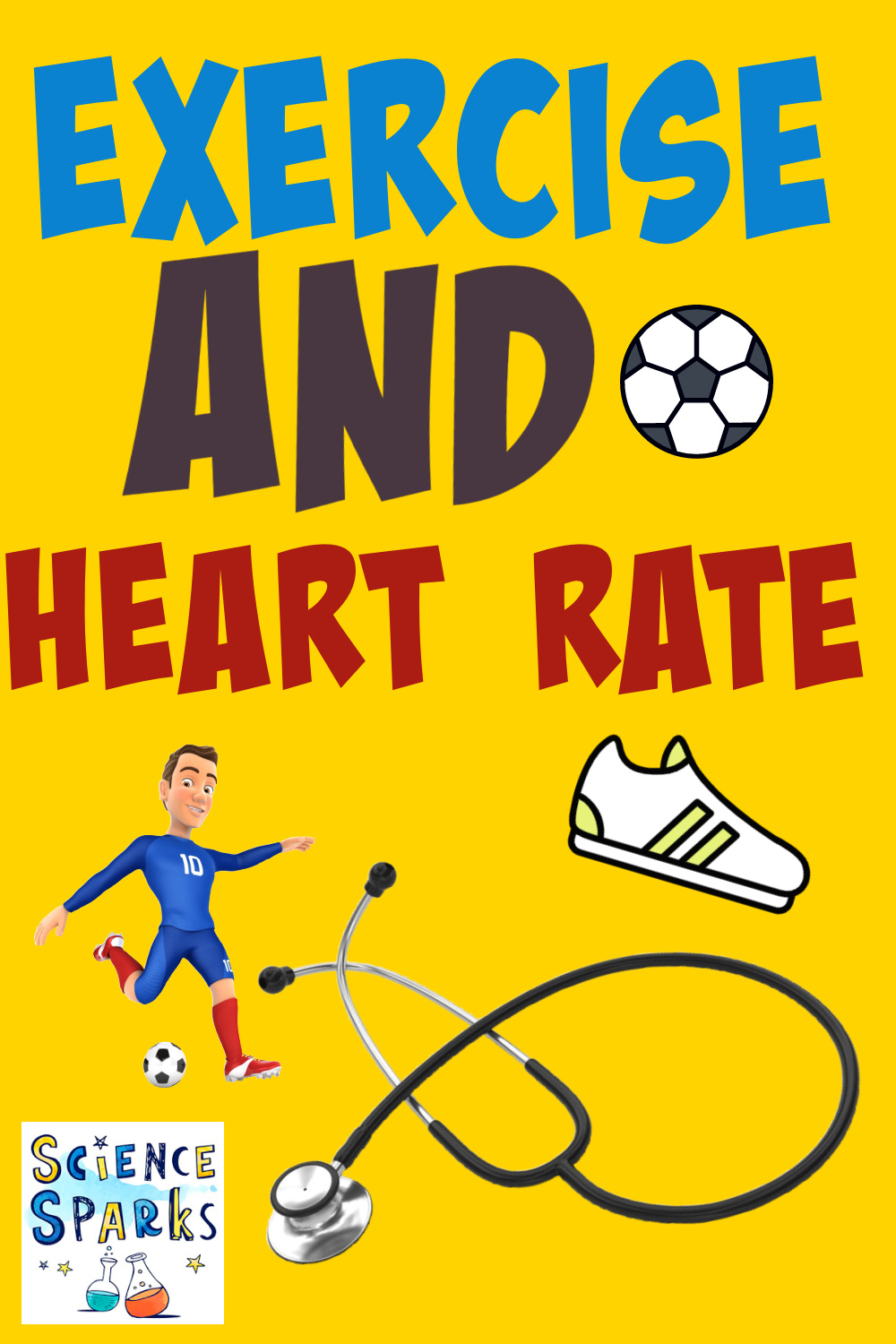 How does exercise affect heart rate? Science for Kids