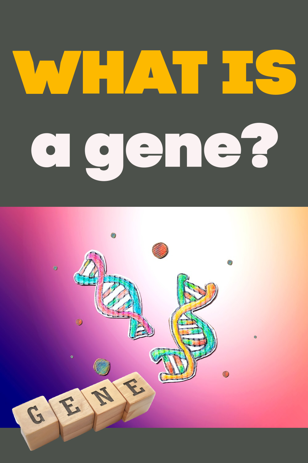 what-is-a-gene-genes-and-variation