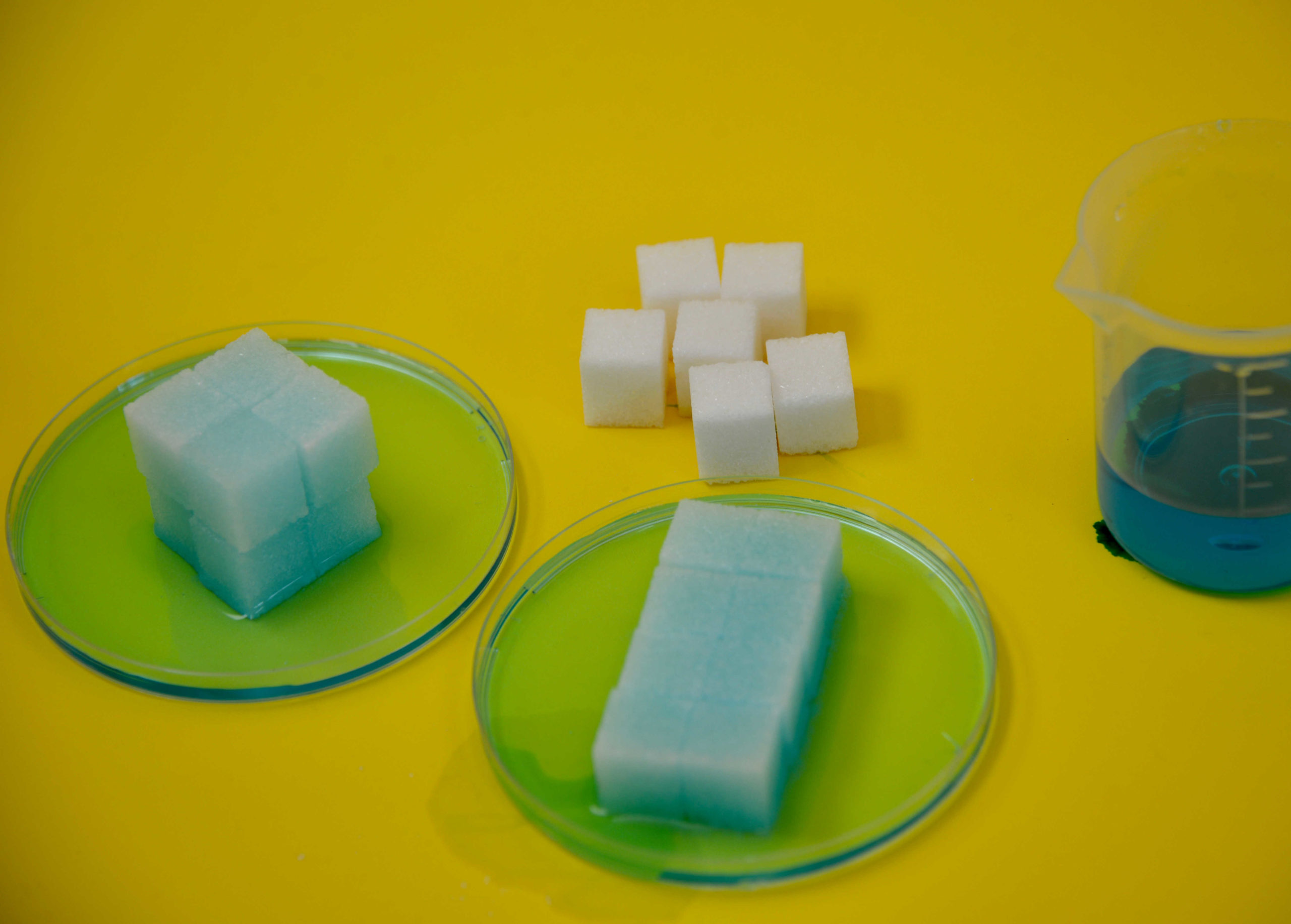 Sugar Cube Surface Area to Volume Ratio Investigation