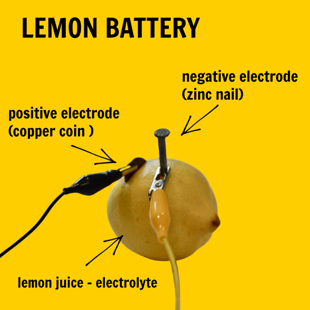 lemon battery experiment worksheet