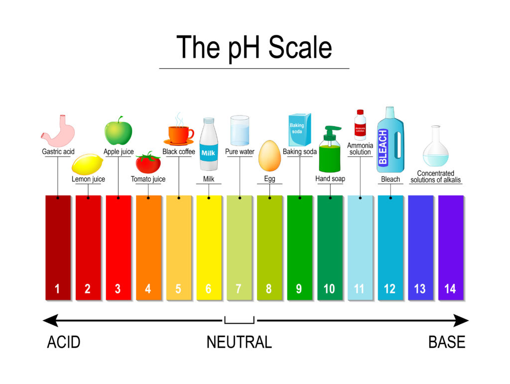 Universal indicator pH scale colours and examples for each pH