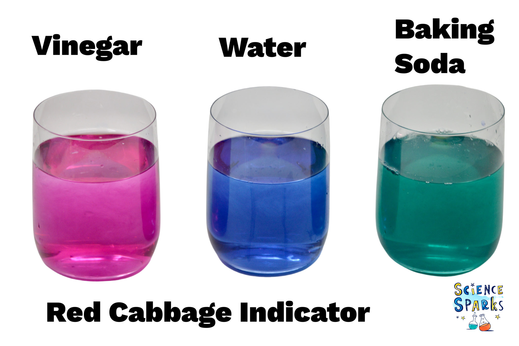 Using red cabbage indictor to test pH