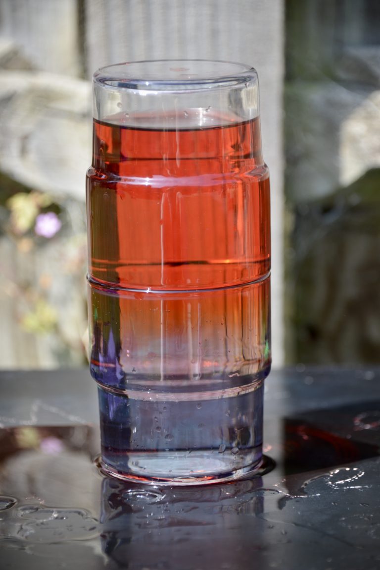 amazing hot and cold water density experiment