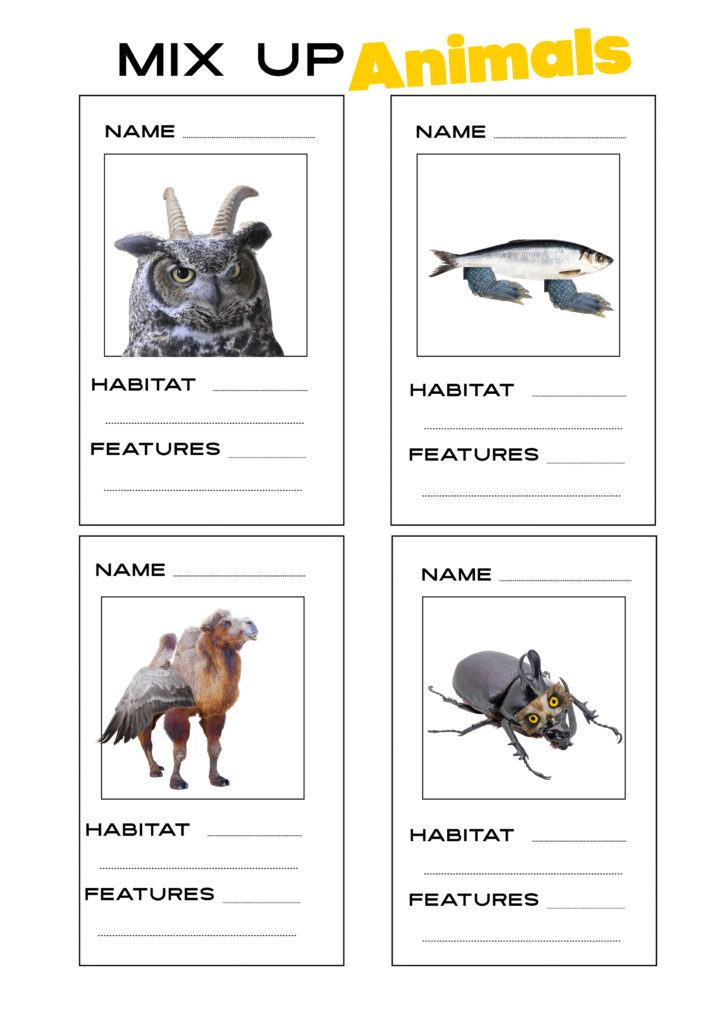 How Animals Adapt Worksheets