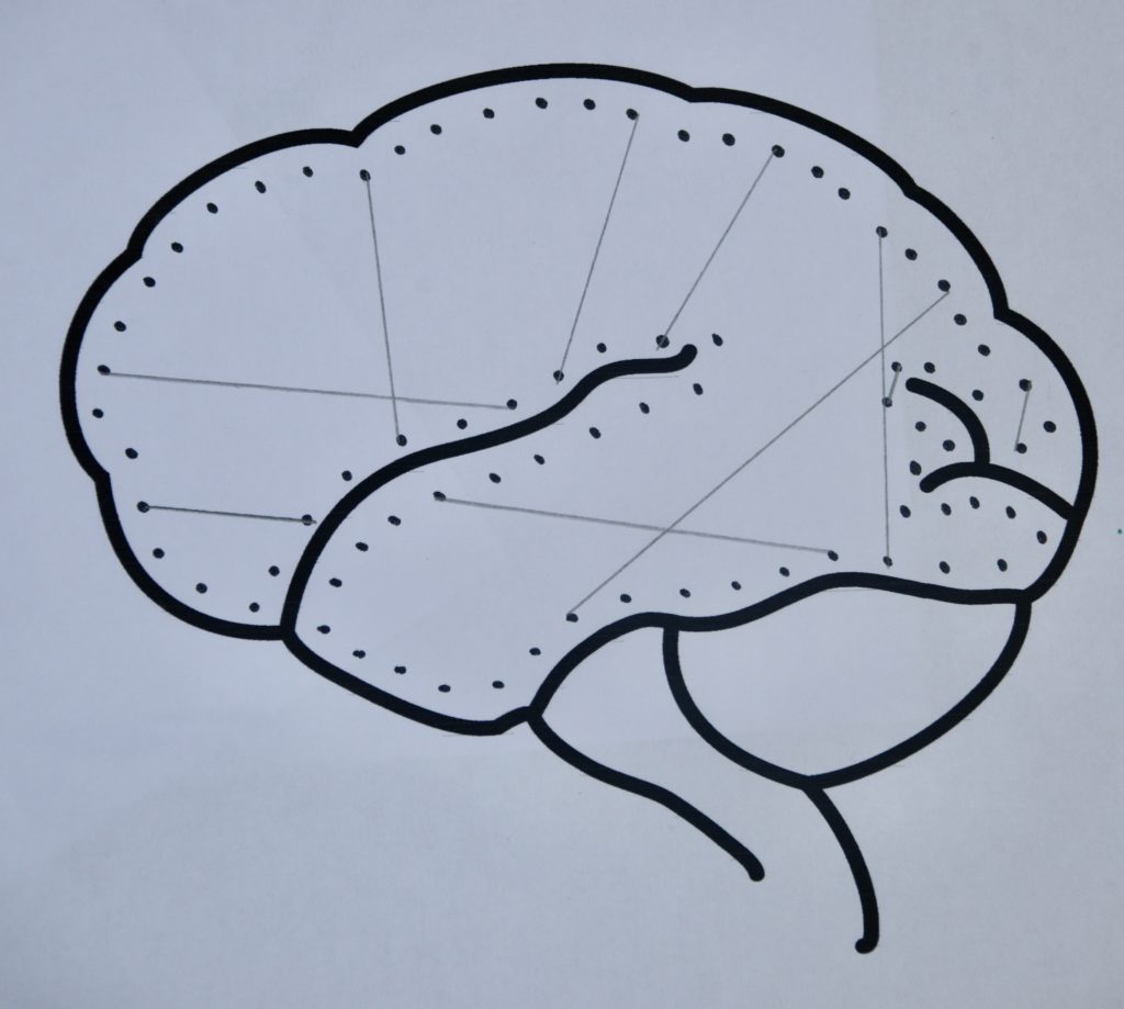 human brain drawing easy - Clip Art Library