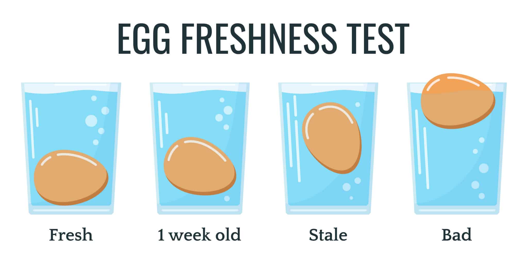 How to tell if an egg is fresh - science hacks