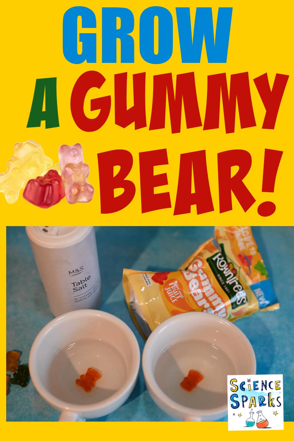 Grow a Gummy Bear STEM Challenge