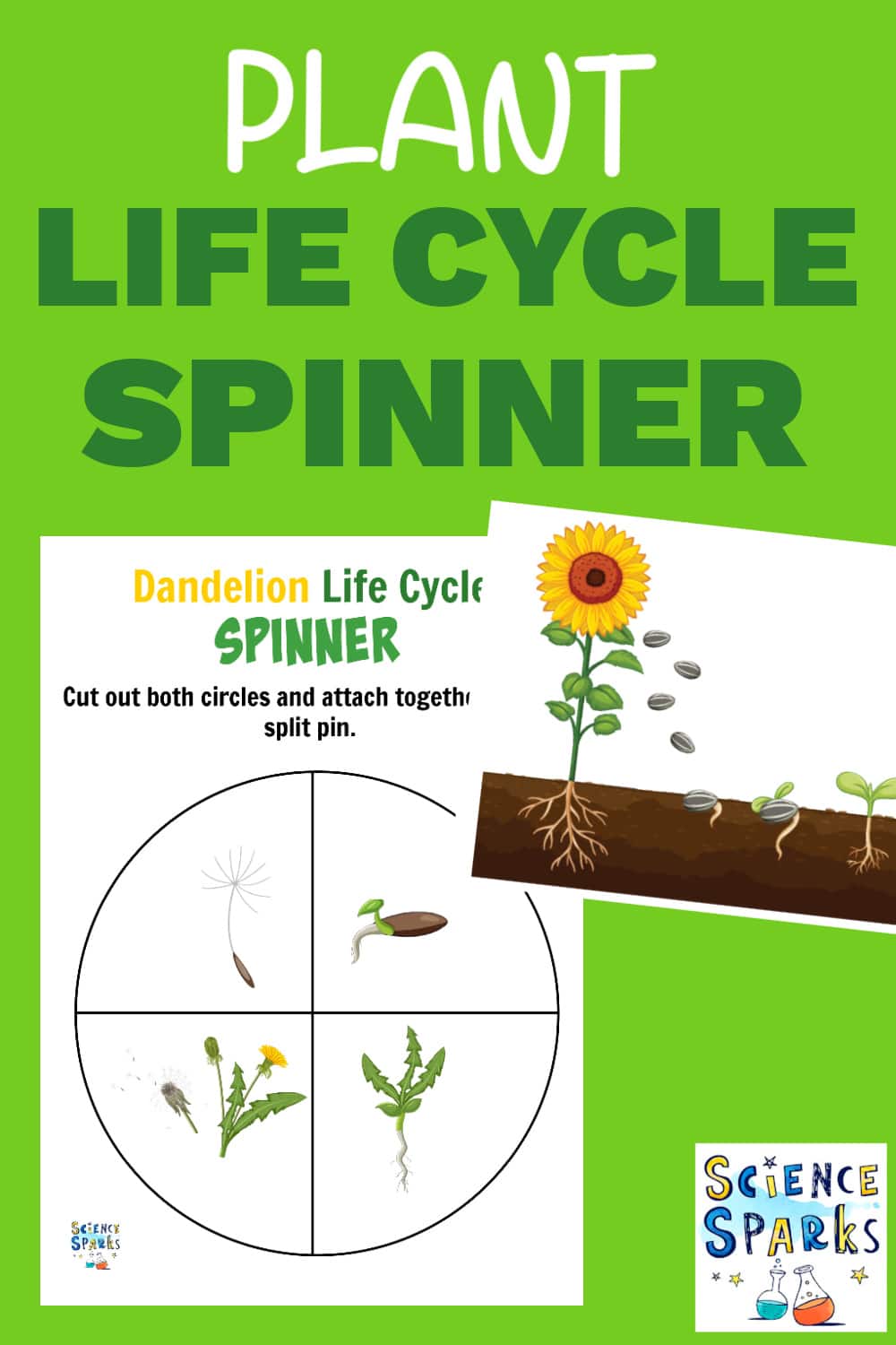 Plant Science - Plant Life Cycle Spinner - Science Sparks